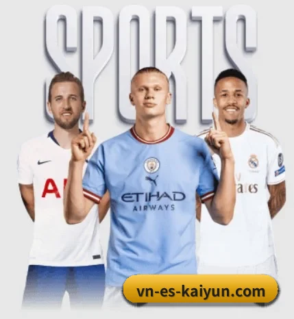 五大体育板块覆盖,从比分到直播全覆盖 | kaiyun